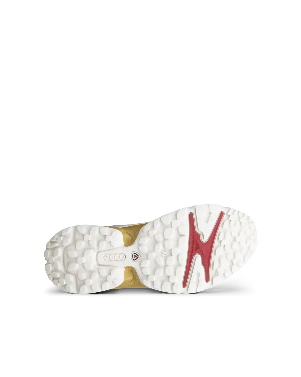 ECCO Receptor Xp