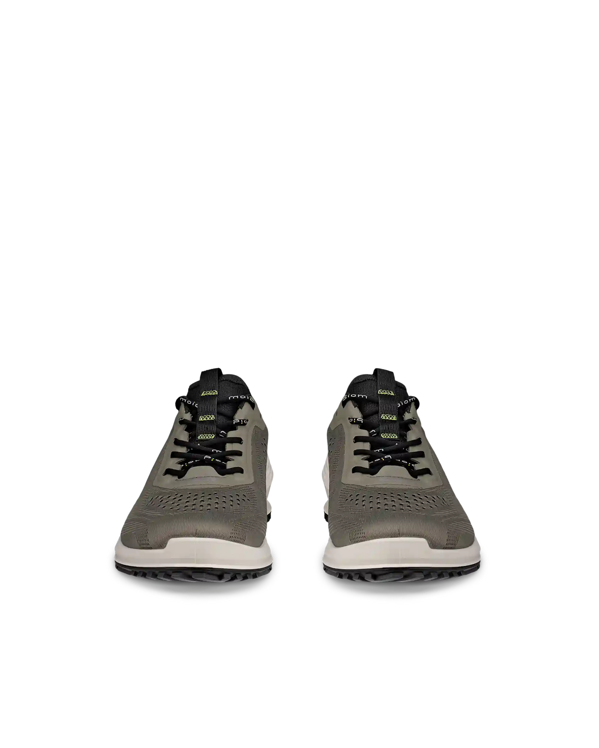 ECCO Biom 2.0