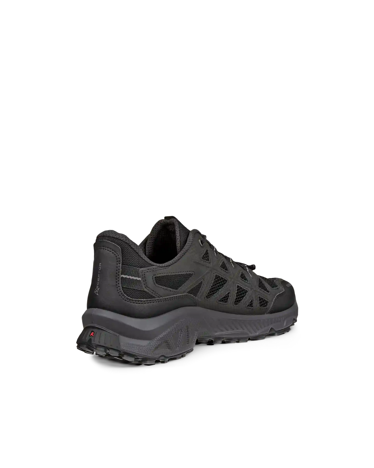 ECCO Receptor XP