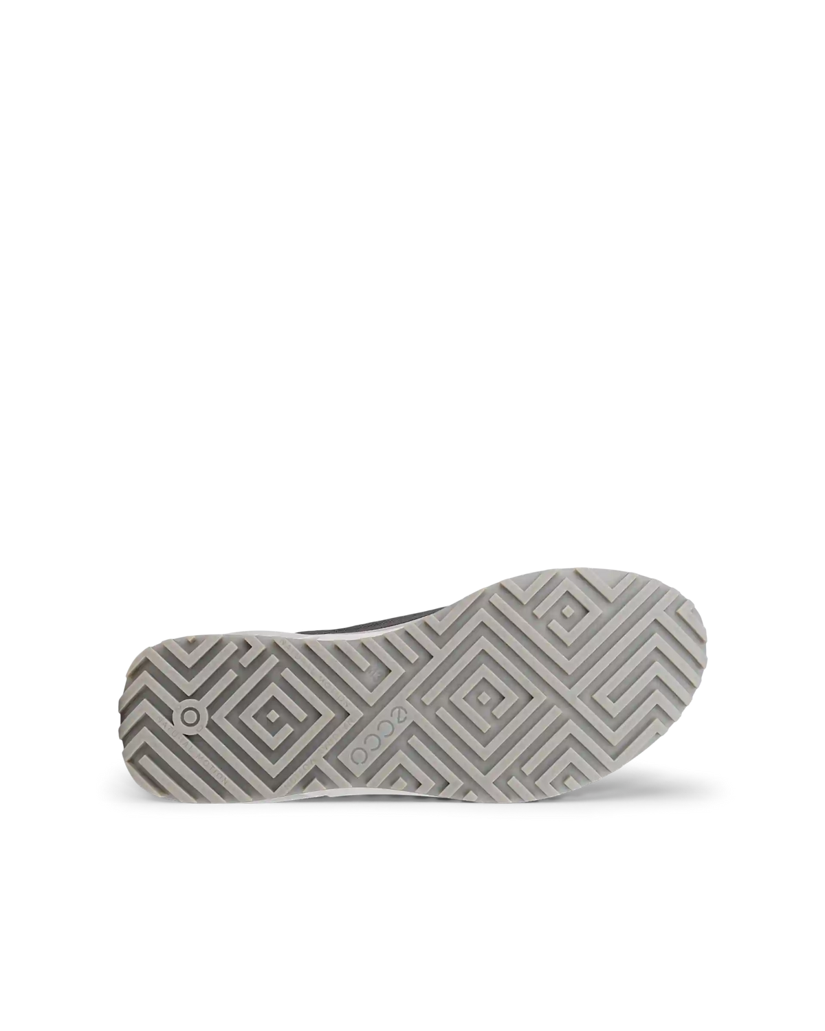 ECCO Biom 2.0