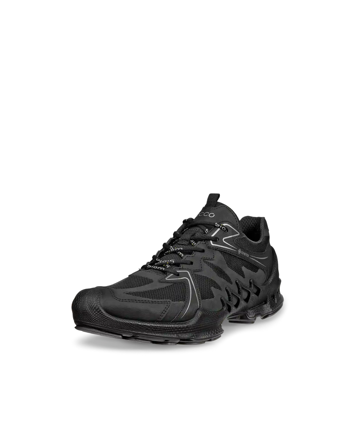 ECCO Biom Aex