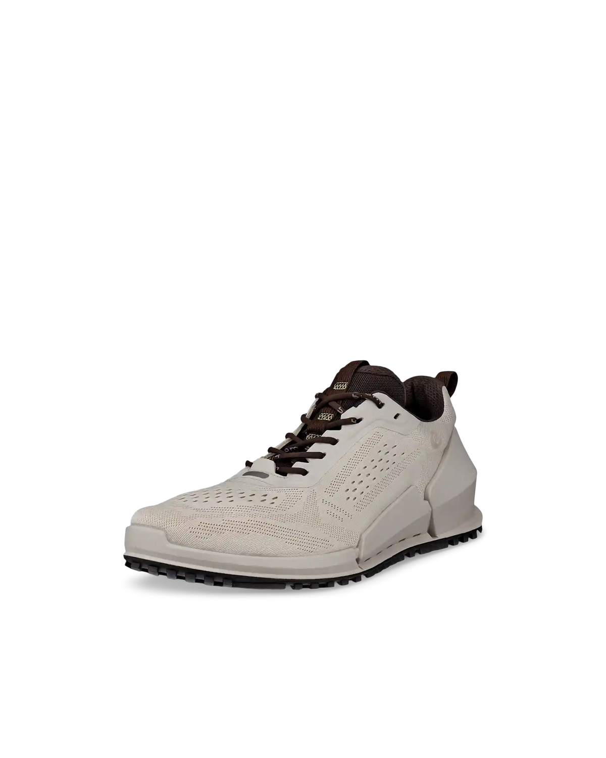 ECCO Biom 2.0