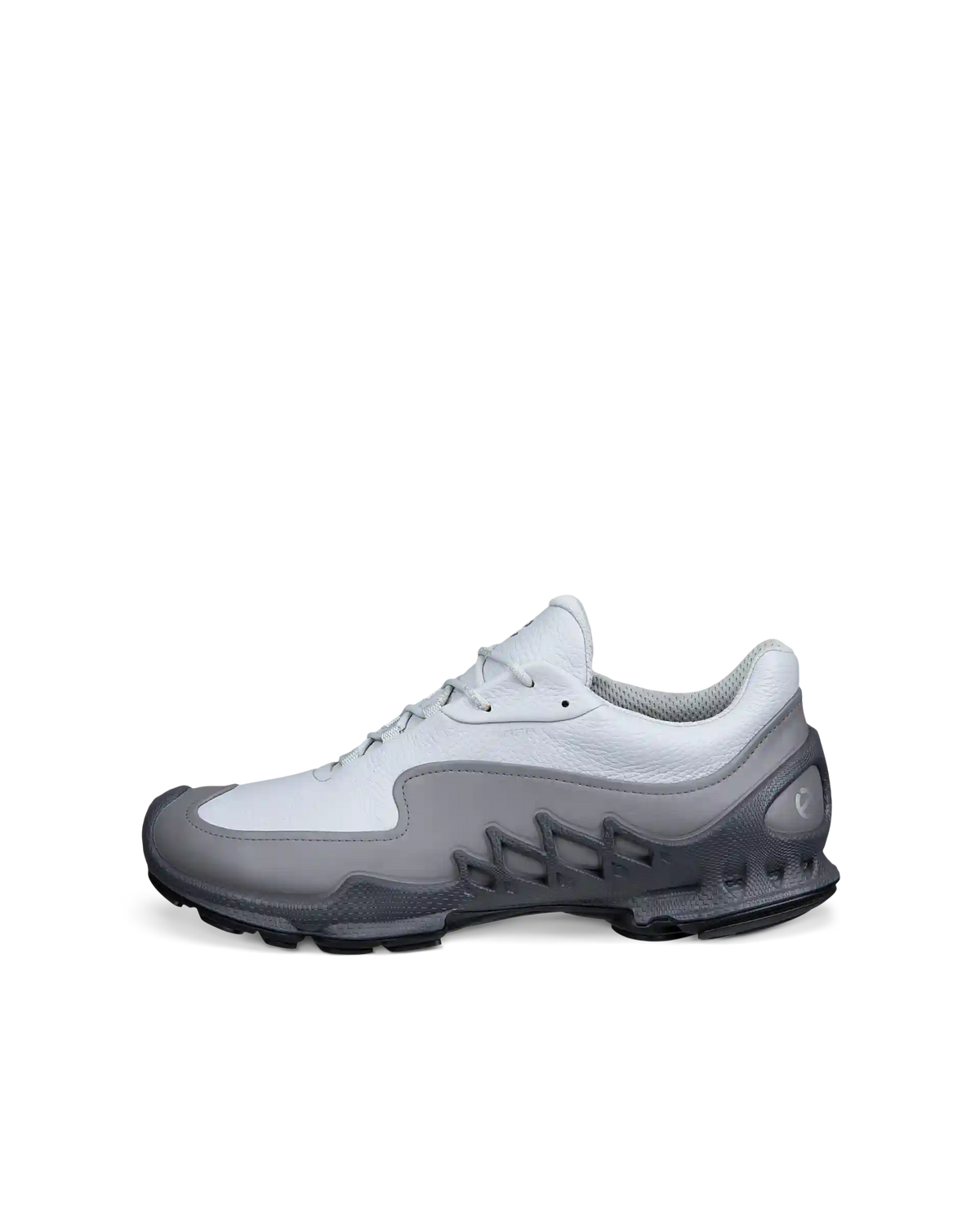 ECCO Biom Aex